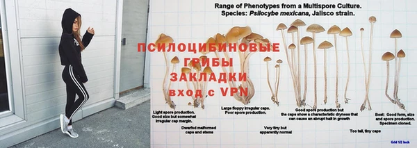 твердый Арсеньев