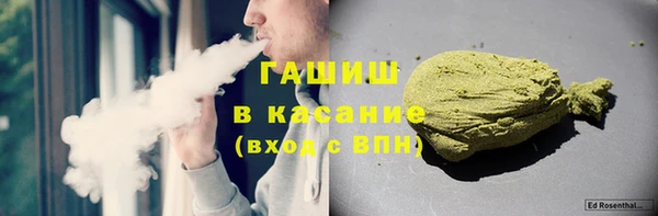 твердый Арсеньев