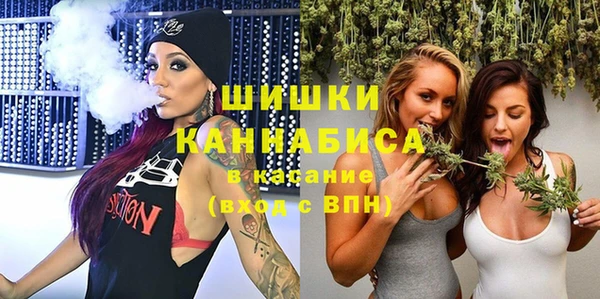 твердый Арсеньев