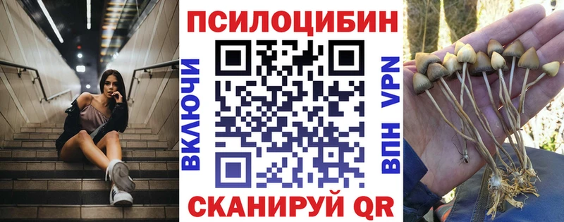 Галлюциногенные грибы Magic Shrooms Озёры